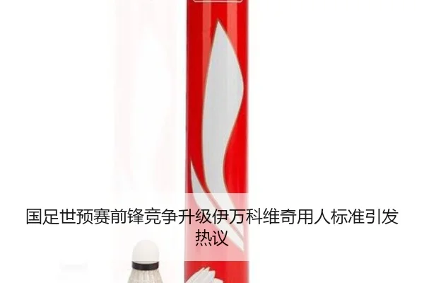 国足世预赛前锋竞争升级伊万科维奇用人标准引发热议